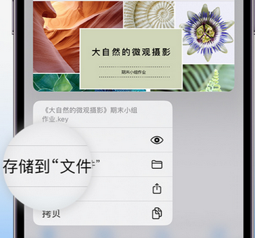 云霄apple维修中心分享iPhone文件应用中存储和找到下载文件