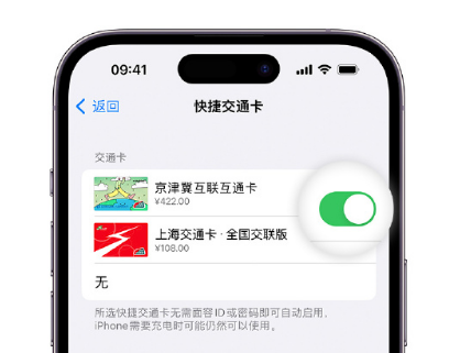 云霄apple维修点分享iPhone上更换Apple Pay快捷交通卡手绘卡面 