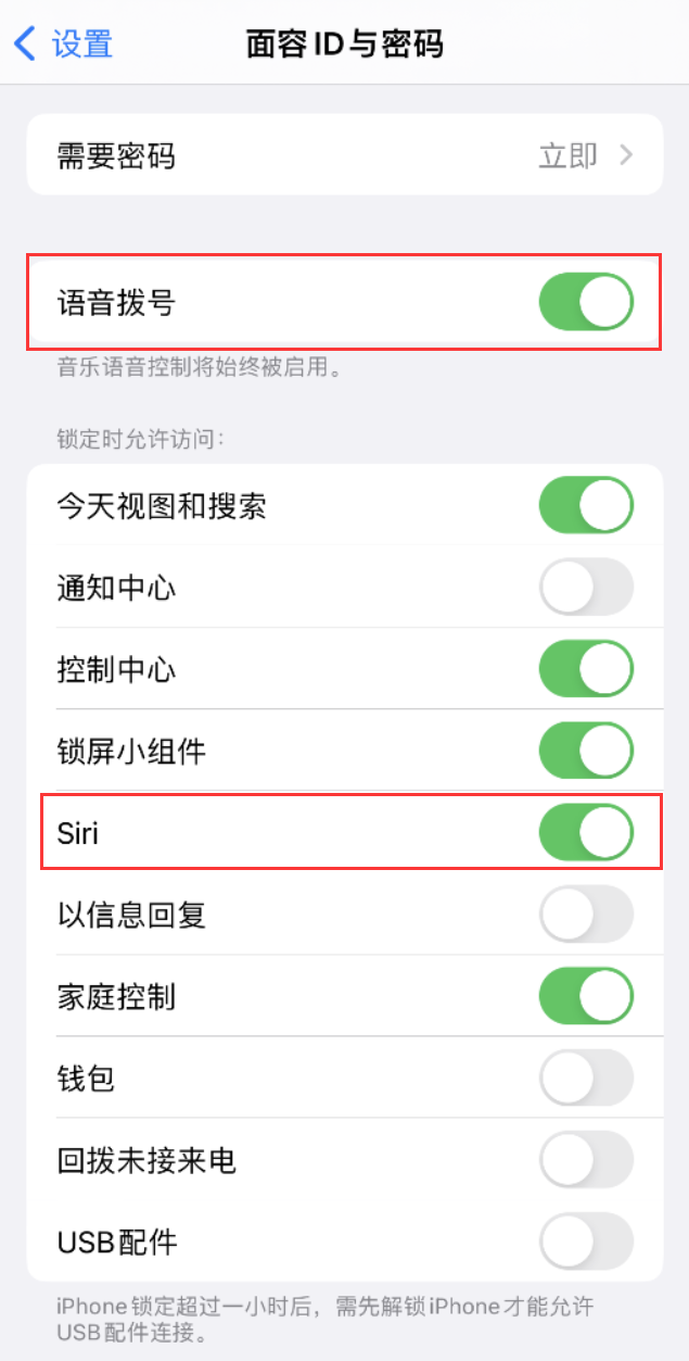 云霄苹果维修网点分享不解锁 iPhone 的情况下通过 Siri 拨打电话的方法 