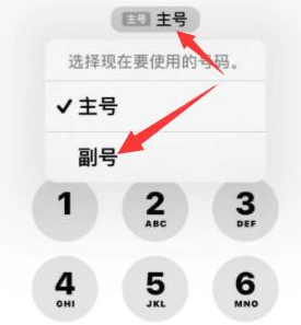 云霄苹果14维修店分享iPhone 14 Pro Max使用副卡打电话的方法 