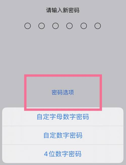 云霄苹果14维修分享iPhone 14plus设置密码的方法 