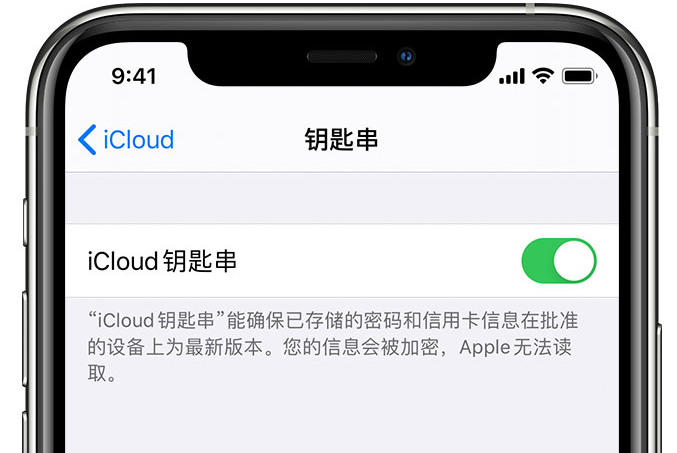 云霄苹果手机维修分享在 iPhone 上开启 iCloud 钥匙串之后会储存哪些信息 