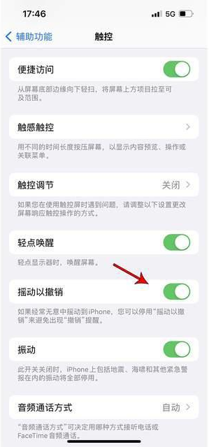 云霄苹果手机维修分享iPhone手机如何设置摇一摇删除文字 