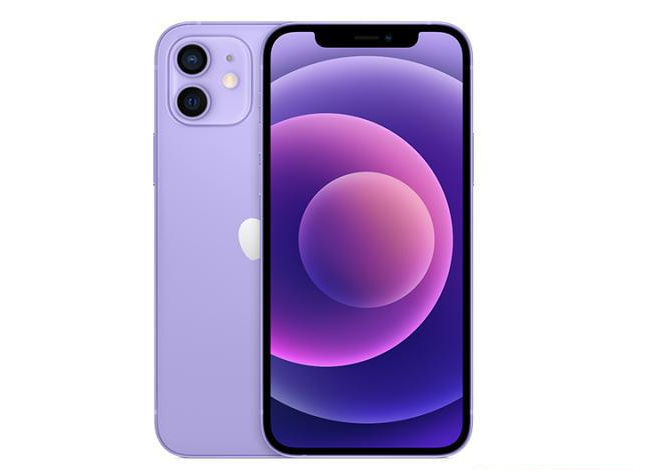 云霄苹果手机维修分享现阶段要不要入手紫色版iPhone12 